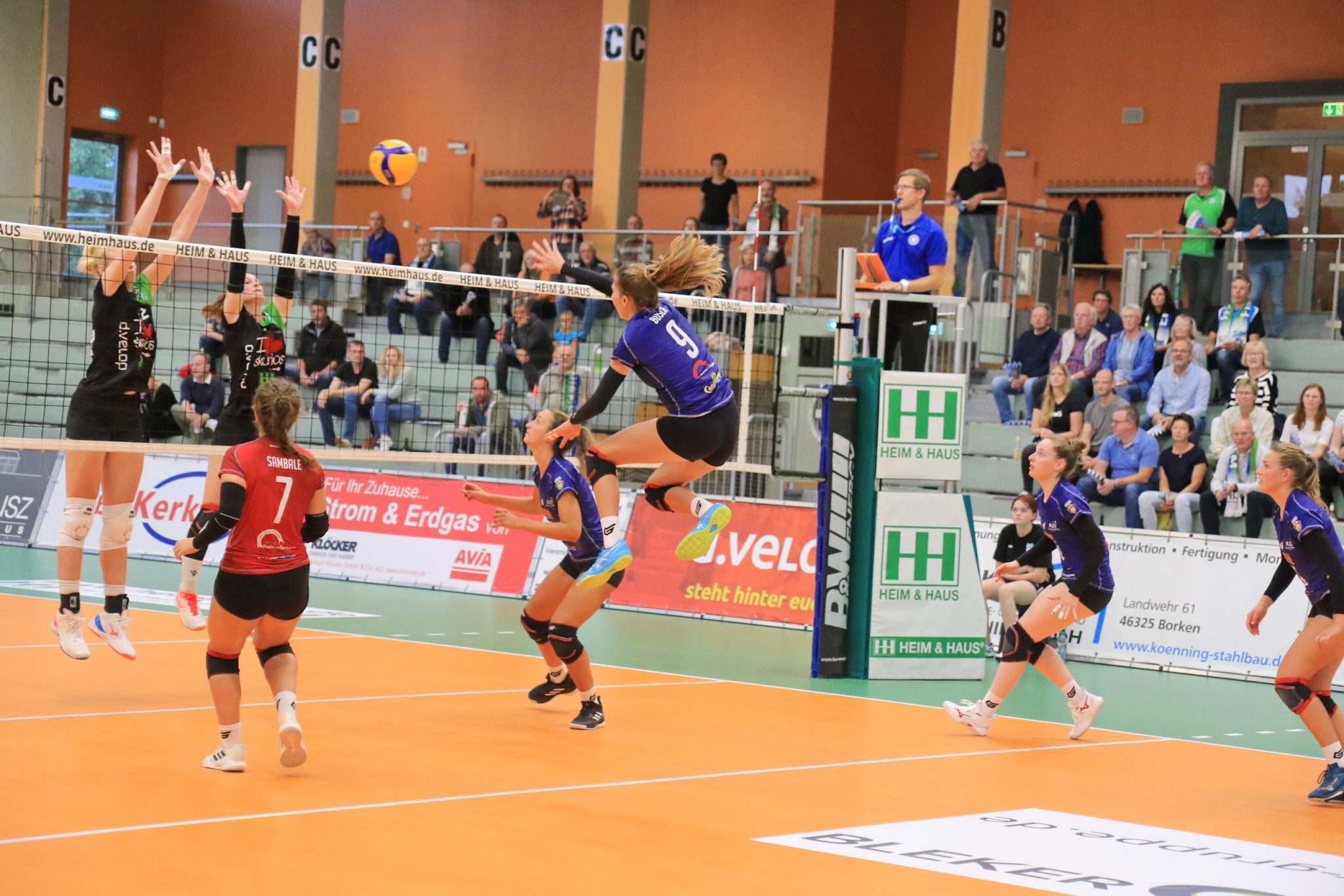 Volleyball 2.Bundesliga Damen Zu Gast beim Neuling in Karlsruhe • TV
