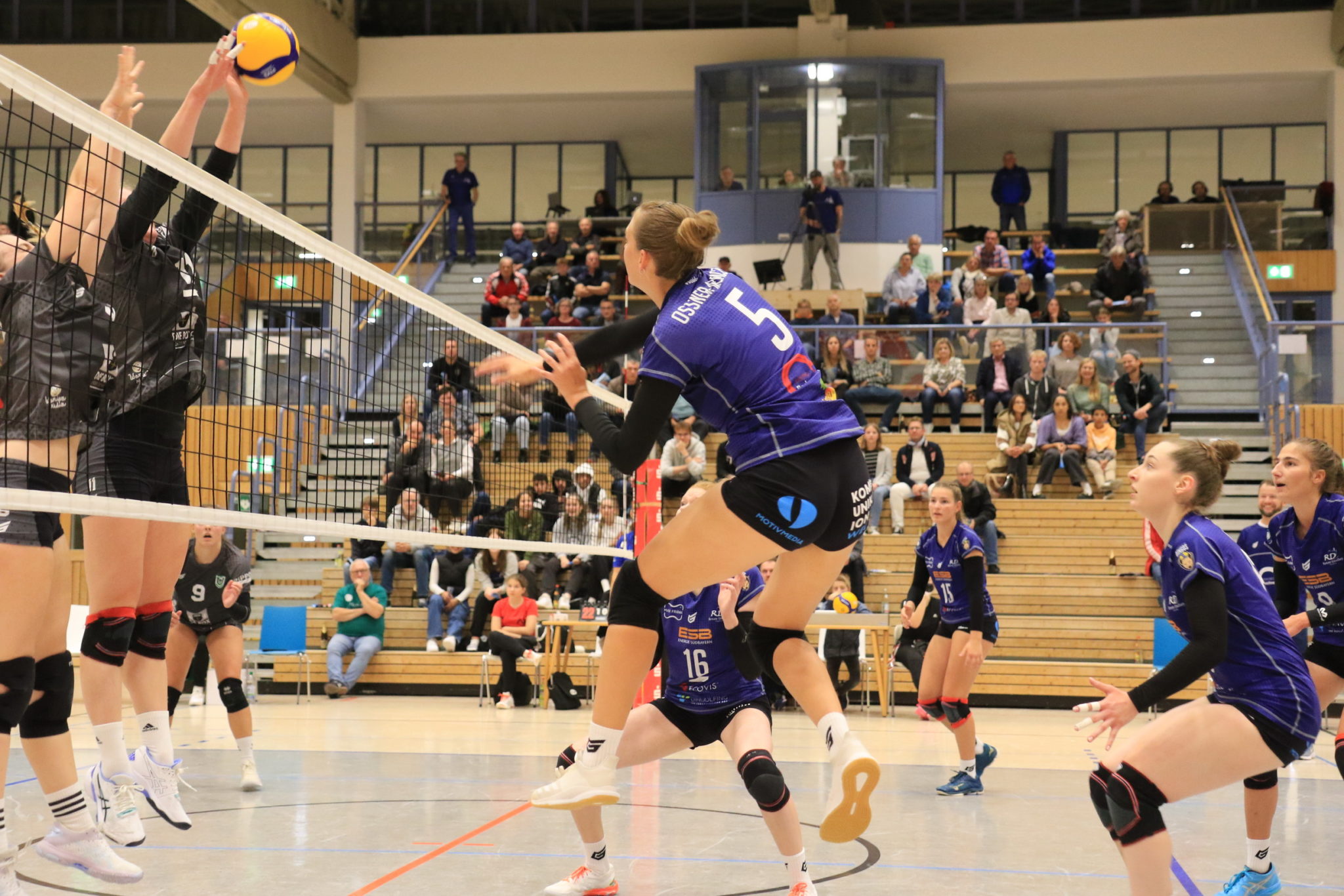 Volleyball 2.Bundesliga Damen Endlich wieder ein Heimspiel • TV